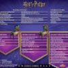 Harry Potter Pinball machine Wizard model - Image 5